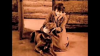 525 hairy porn videos